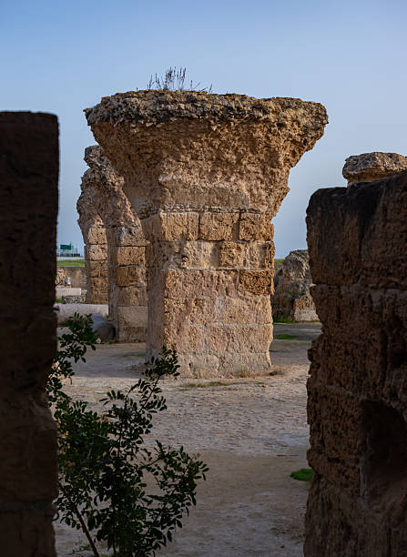 A picture of the Baths of Antoninus at the Archaeological Site of Carthage.
