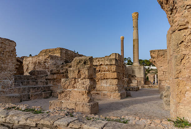 An ancient ruins in Carthage, Tunisia with a lone tree and cityscape in the background under a clear blue sky.