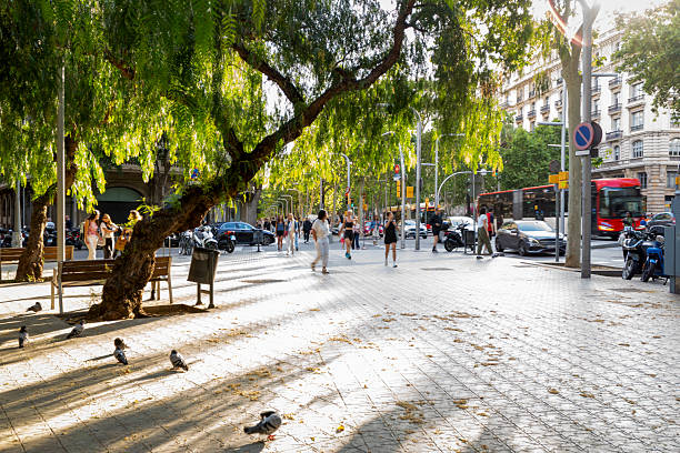 Busy Street with Natural Shade. Urban Pedestrian Monitoring Scene.