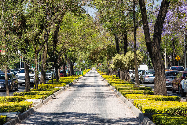 Springtime cityscape in Mexico City along the bicycle lane on Reforma Avenue at Chapultepec Park