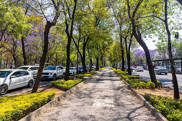 istock Springtime cityscape in Mexico City along bicycle lane 2218816007