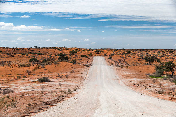 Dirt road in Namib desert