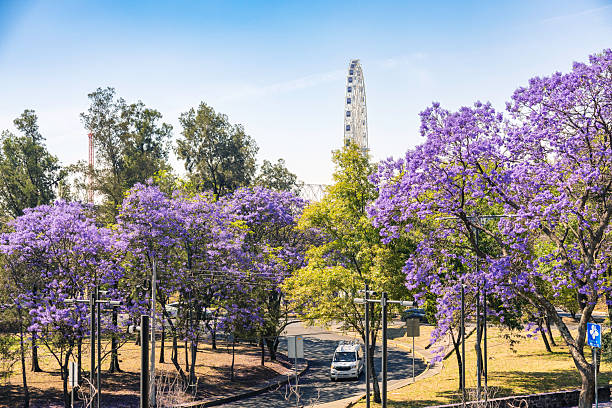 istock Springtime cityscape in Mexico City Chapultepec Park 2218816286