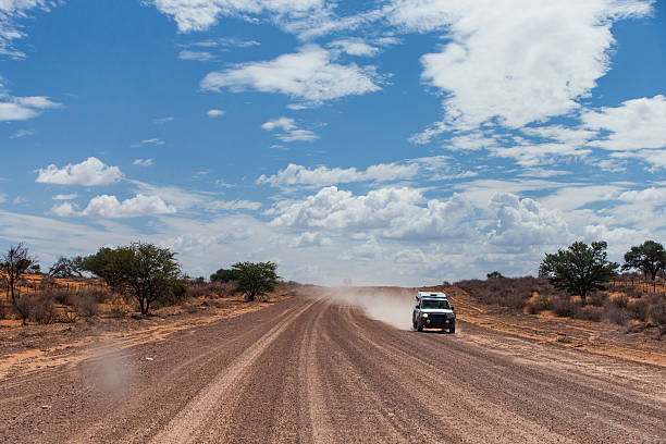 istock Dirt road in Namib desert 2218816298