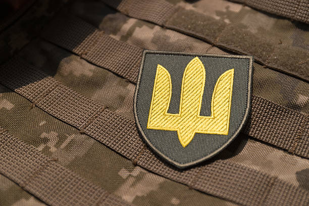 Ukrainian Army sleeve insignia