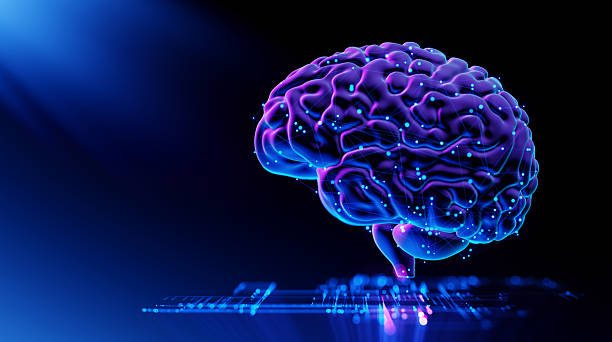 istock Human Brain - Futuristic Concept of Intelligence, science and mind 2218816587