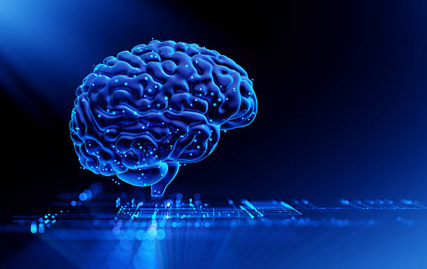 istock Human Brain - Futuristic Concept of Intelligence, science and mind 2218816797