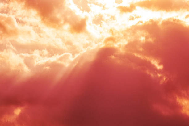 Pink clouds at sunset with sunbeams, atmospheric sky with warm light, pink sky