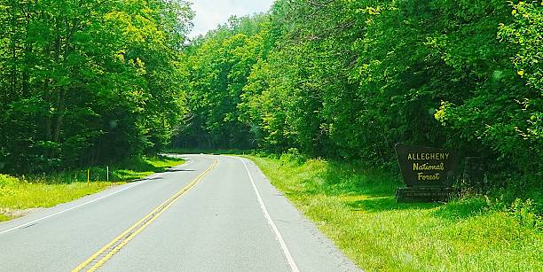 Driving through Allegheny National Forest Pennsylvania