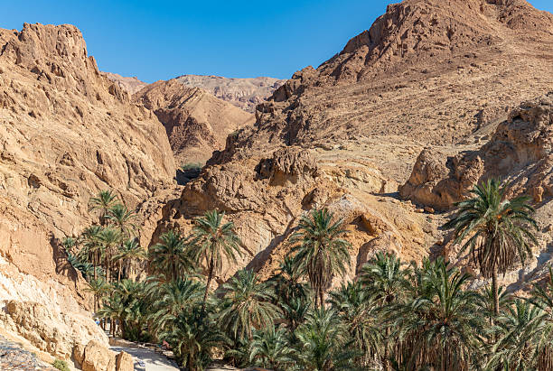istock Chebika Oasis in Tunisia 2218820270