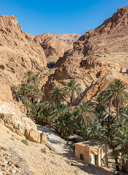 istock Chebika Oasis in Tunisia 2218820279
