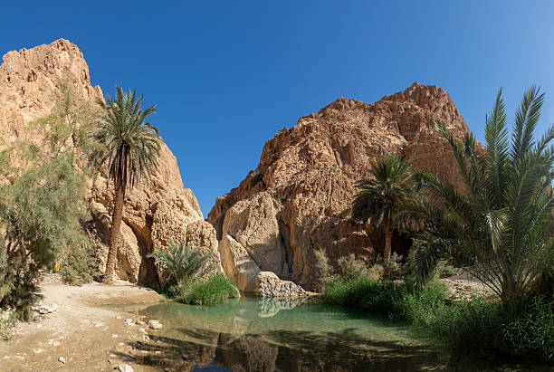 istock Chebika Oasis in Tunisia 2218820400