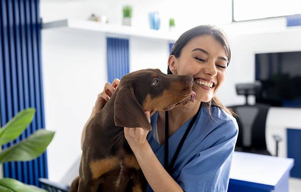 Loving dog licking a friendly Latin American veterinarian and smiling at the animal hospital