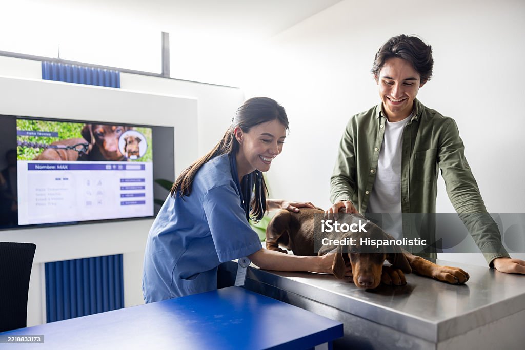 Veterinarian examining a puppy in front of his owner at the hospital - Royalty-free 16-17 Anos Foto de stock Veterinarian examining a puppy in front of his owner at the hospital - Royalty-free 16-17 Anos Foto de stock