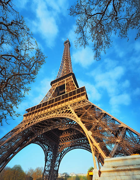 low angle view of Eiffel Tower in Paris, France 