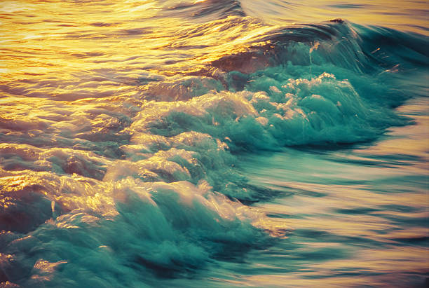 Warm glowing sunset casting vibrant light over a gentle breaking wave