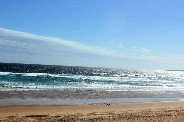 istock Australian Coastline on Philipp Island With Sand Dunes 2218840868