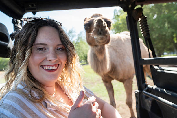 istock Blond female feeds a camel by hand 2218841562