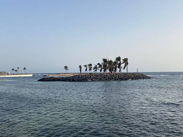 istock A palm island in the sea 2218851281