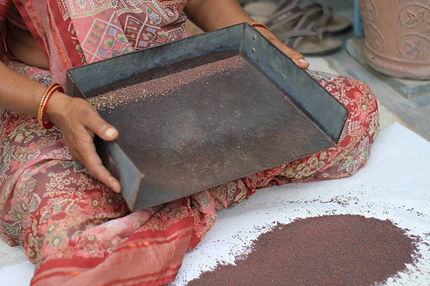 This type of tray is commonly used in various agricultural and culinary practices, including:
