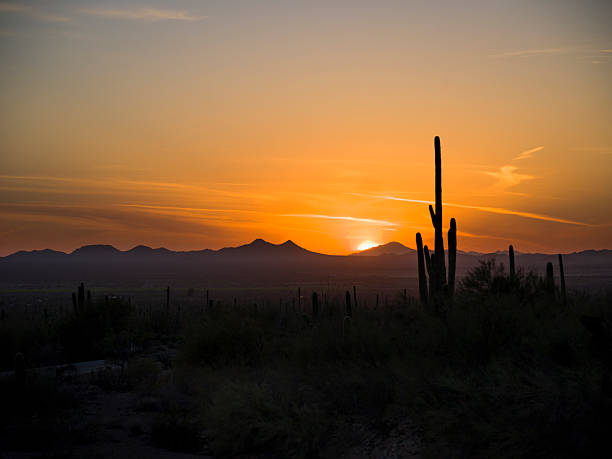 istock Sunset, Saguaro National Park 2218857667