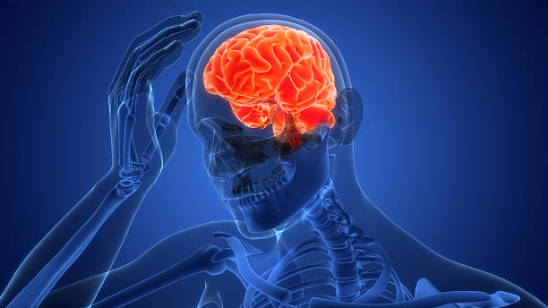 istock Human Suffering with Severe Headache Anatomy 2218858276