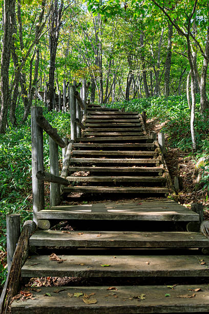 istock Kushiro Marsh Observatory Boardwalk, Kushiro Marsh, Hokkaido, Japan 2218866328