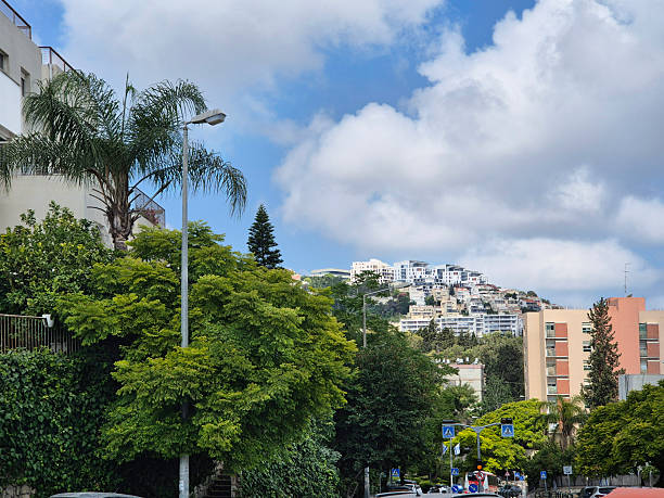 istock Lush greenery with tropical trees contrasts with white buildings on a hill, creating a peaceful residential scene under blue sky 2218867710