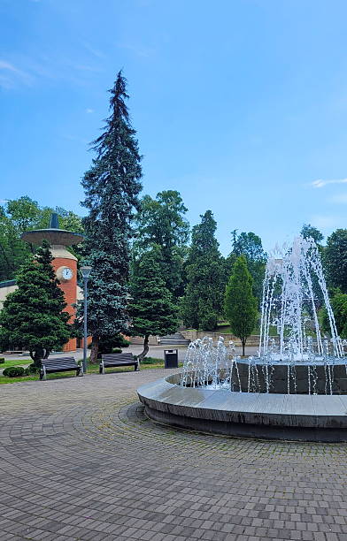 istock Fountain in the park, Vrnjacka Banja - Serbia 2218867976