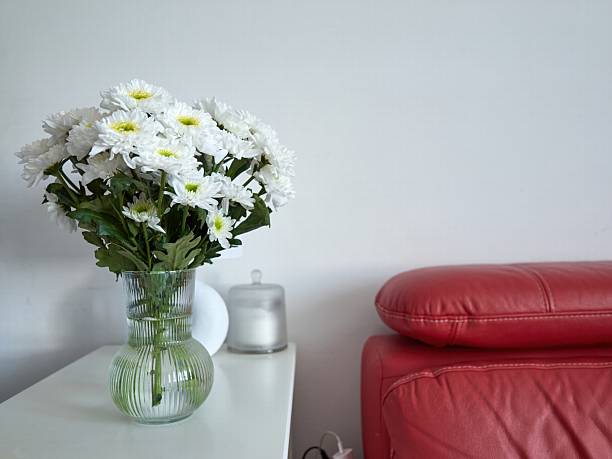 istock Vase of white chrysanthemums sits on a table next to a red couch 2218870321