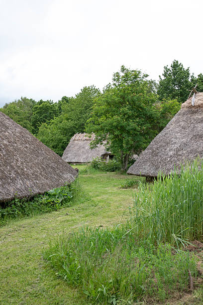 istock The beautiful Danish Viking village 2218874064