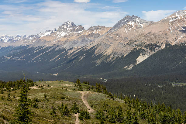istock Stunning mountain landscape showcasing rugged peaks and expansive forests under a clear blue sky during a sunny day in the wilderness 2218874571