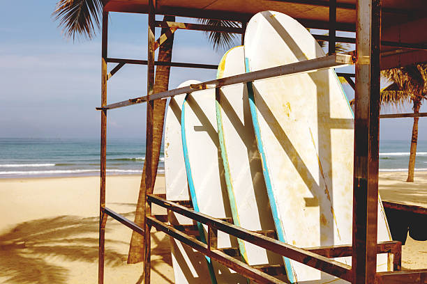 istock Surfboards on tropical beach with palm trees and ocean waves in background 2218881479
