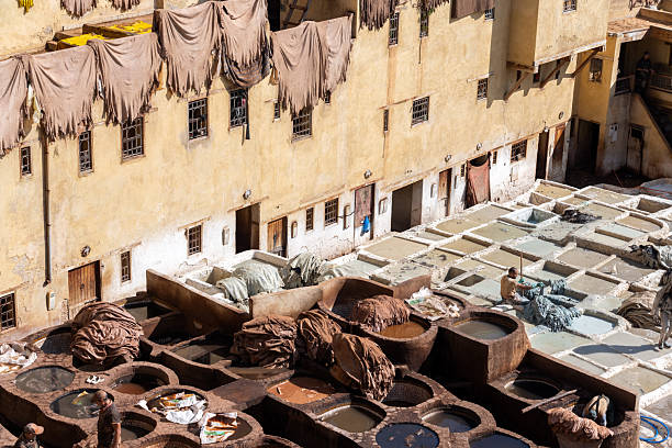Overview of a traditional tannery in Fes, Morocco, featuring dyeing vats, workers, and drying materials.