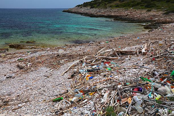 istock Beach plastic waste in Croatia 2218889097