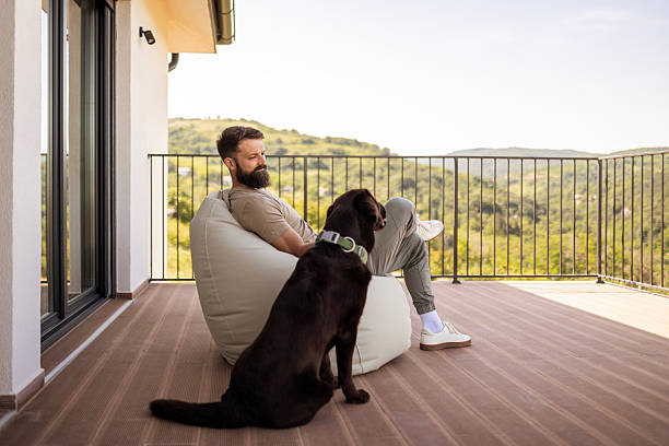 istock Sunshine, Coffee, and Labrador 2218890547