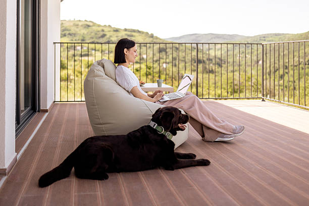 istock Time with Dog And Laptop 2218890563