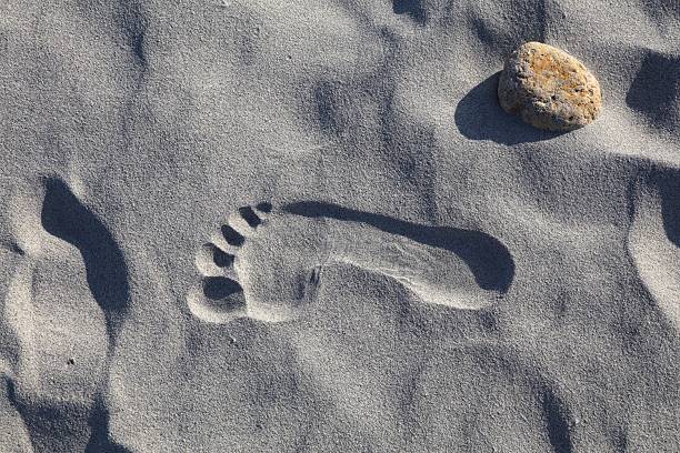 ink imprint of a child's little foot. black, baby toes, newborn foot drawing footprint. white background no background