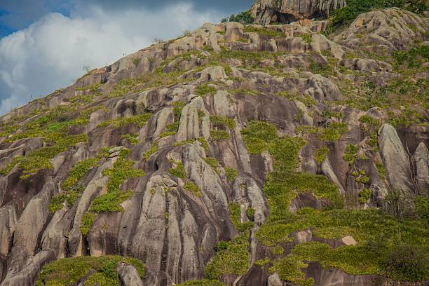 Mountain wilderness - Western Cape, South Africa