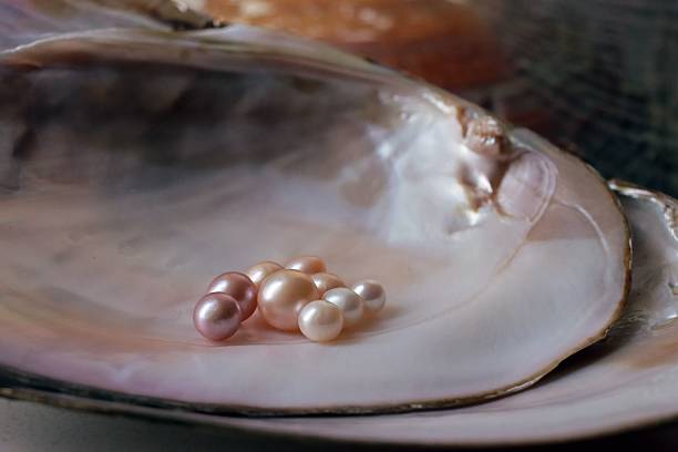 istock Close-up of colorful pearls in a shell. 2218894318