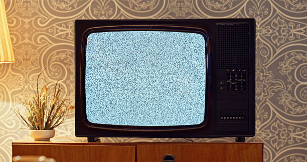 istock Vintage Television Static Display Against Retro Wallpapered Wall With Decorative Plant 2218897918