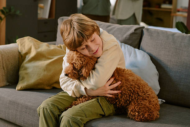 istock Caucasian Boy Hugging Pet Dog on Sofa Experiencing First Pet at Home 2218898768