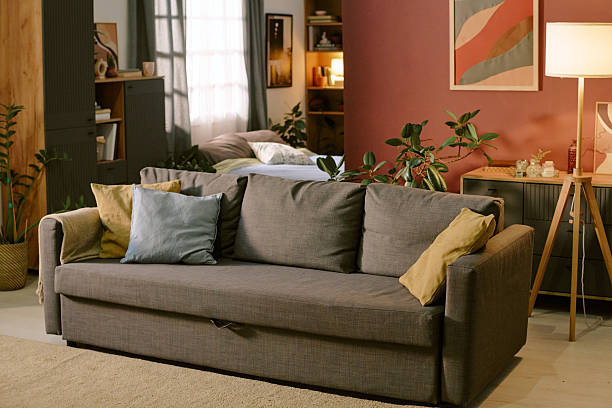 istock Empty Living Room Sofa Awaiting Arrival of First Pet at Home 2218898977