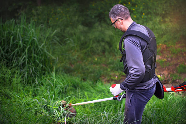 istock Gardener mows the lawn grass with electric grass trimmer 2218902226