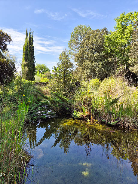 istock Landscape with a pond and reflection on water of trees. 2218902894