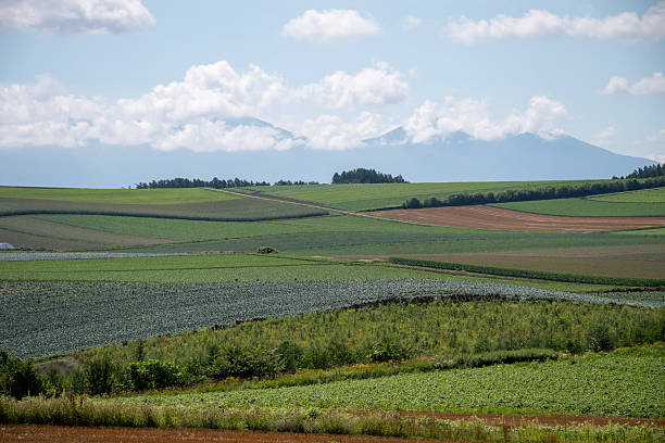 Green farmland and mountain ranges