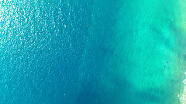 istock Turquoise water creating stunning gradient in tropical ocean paradise 2218908732