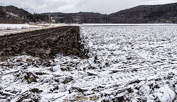 Plowed field in frost