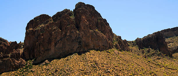 istock Early Summer Salt River Recreation Area Arizona 2218911950