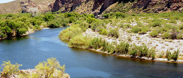 istock Early Summer Salt River Recreation Area Arizona 2218911956